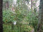 20080816112513_123.jpg