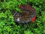 20080816113844_081.jpg