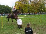 134652 - piknik wojskowy - kawaleria.JPG