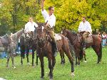 135700 - piknik wojskowy - kawaleria.JPG