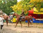 142805 - piknik wojskowy - IMG_1187.JPG